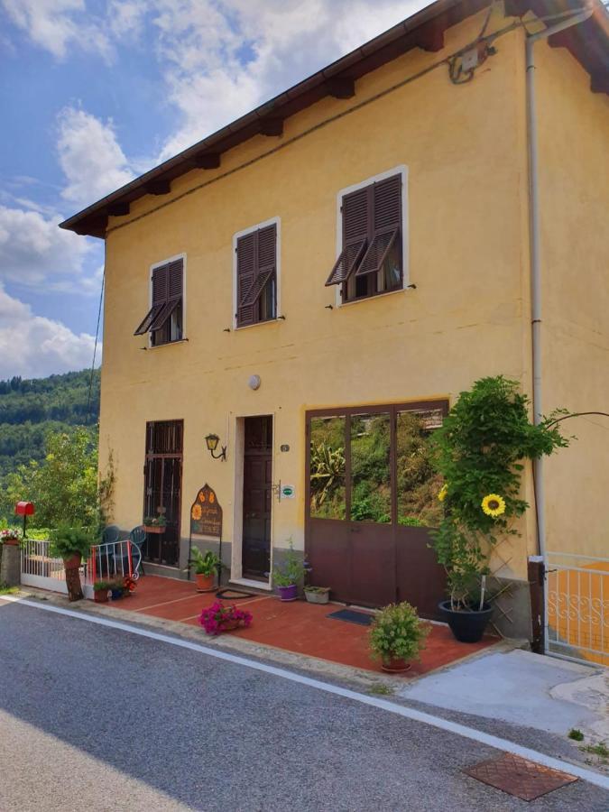 Bed and Breakfast Il Girasole ...At Andorus' House Erli Exterior foto